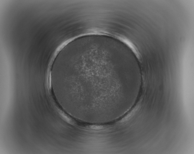 X0000112931371200908311309