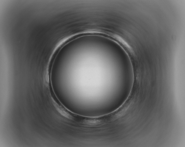 X0000112931372200908311309