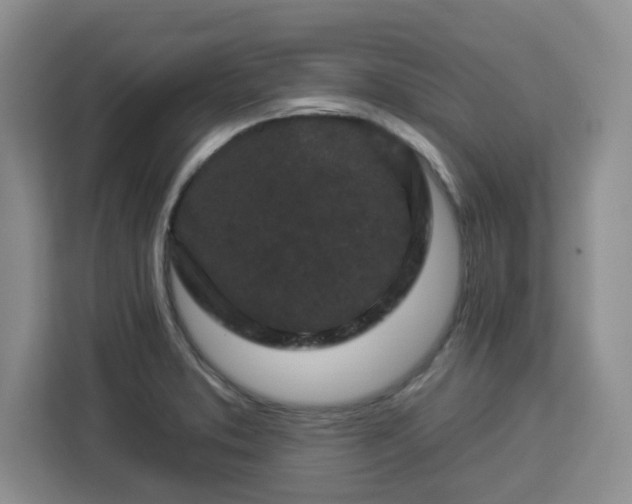 X0000112931373200908311309