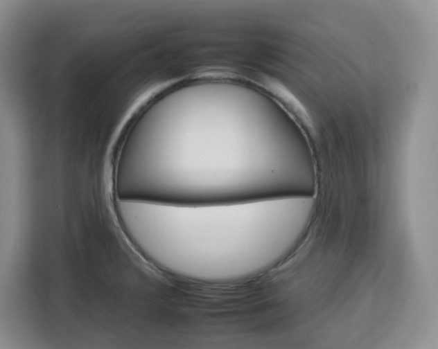 X0000112931376200908311309