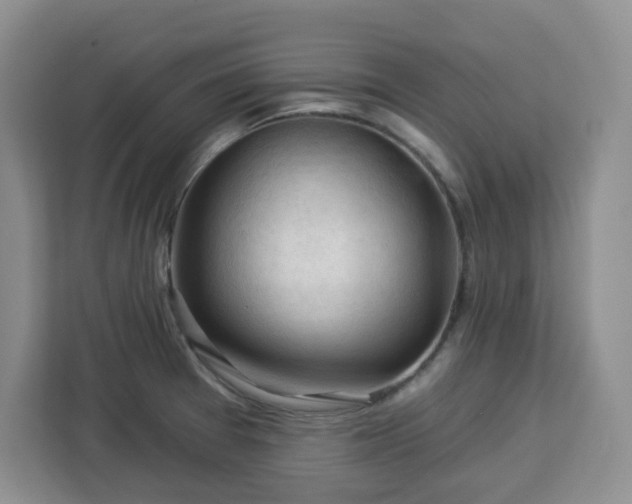 X0000112931377200908311309