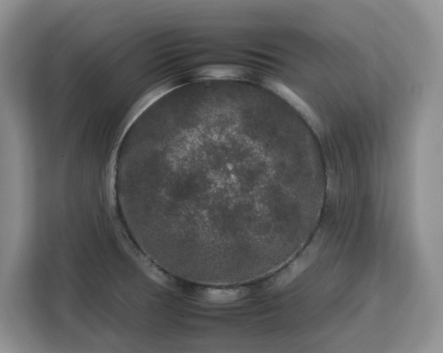 X0000112931378200908311309