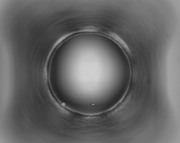 X0000112931380200908311308