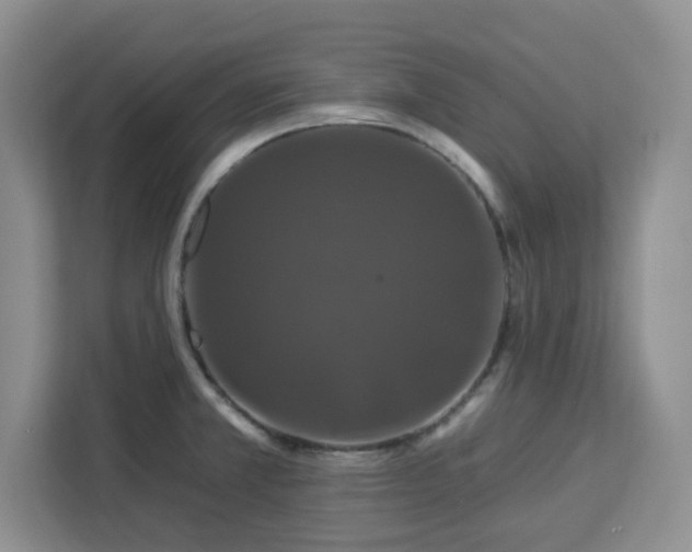 X0000112931381200908311308