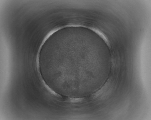 X0000112931382200908311308