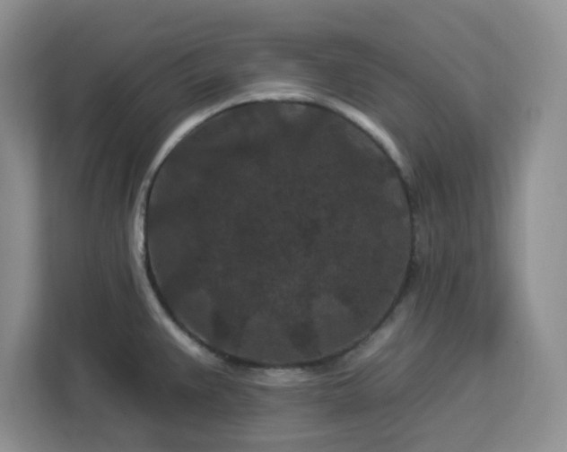 X0000112931383200908311308