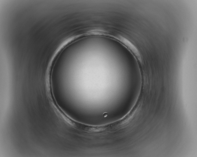 X0000112931384200908311308