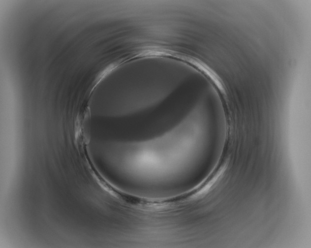 X0000112931385200908311308