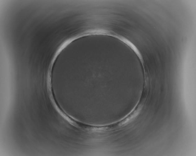 X0000112931389200908311308