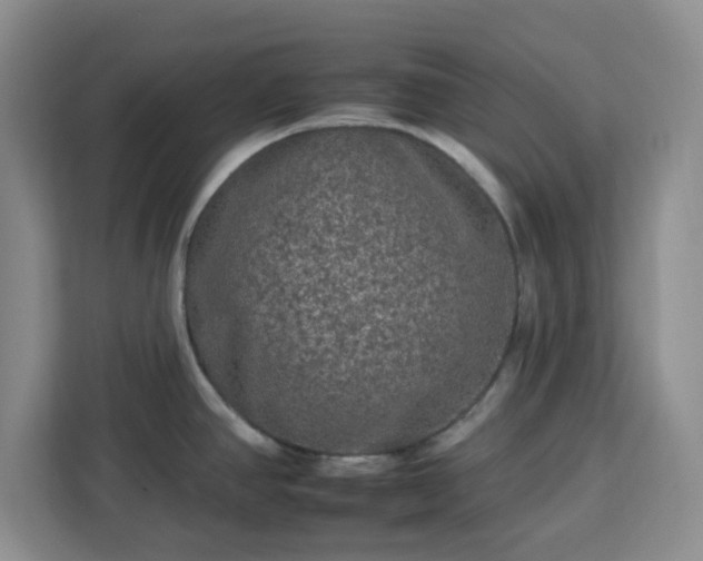 X0000112931390200908311308