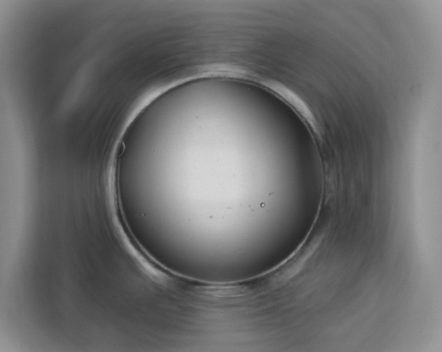 X0000112931391200908311308