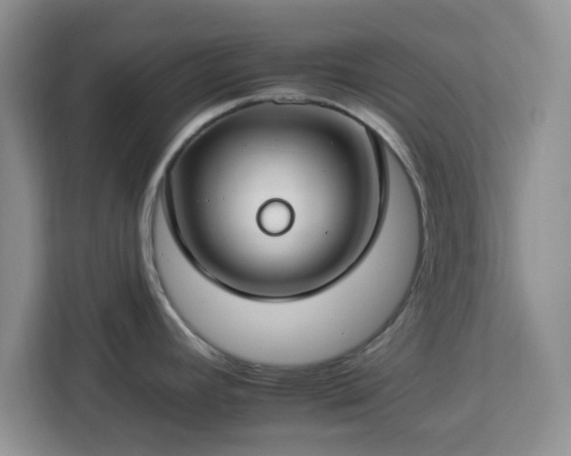 X0000112931392200908311308