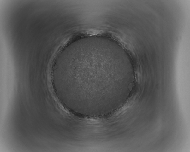 X0000112931393200908311308