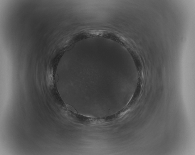 X0000112931394200908311308