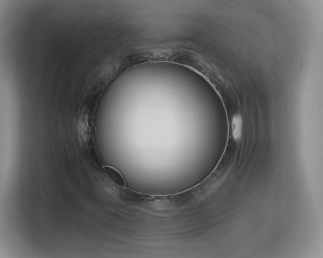 X0000112931395200908311308