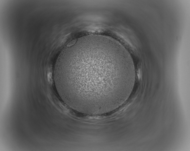 X0000112931396200908311308