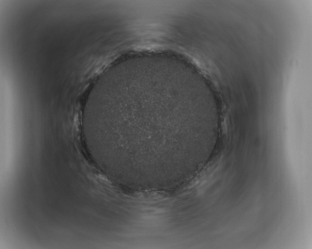 X0000112931397200908311308