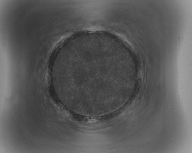 X0000112931398200908311308