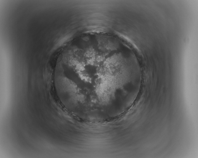 X0000112931399200908311308