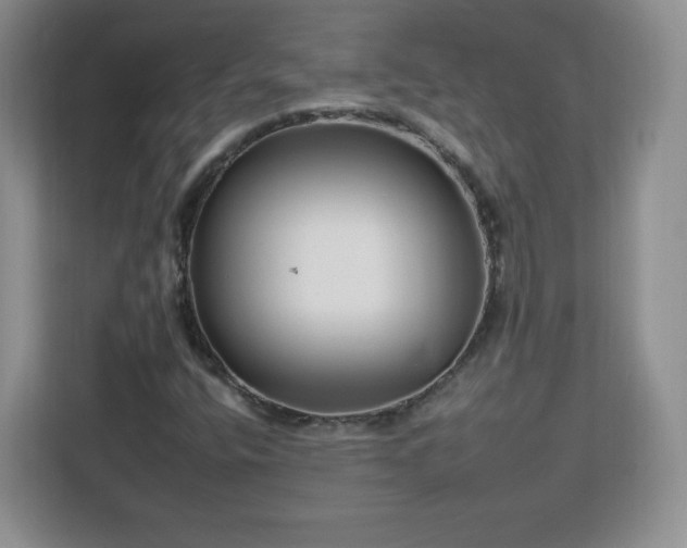 X0000112931400200908311308