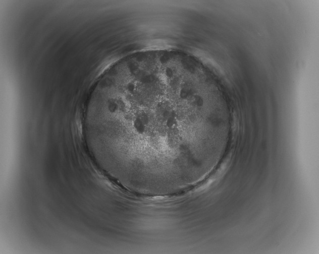 X0000112931401200908311308