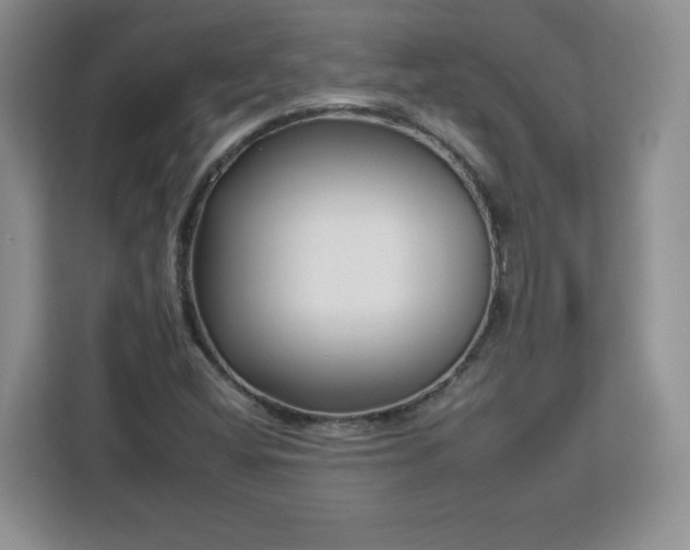 X0000112931404200908311308