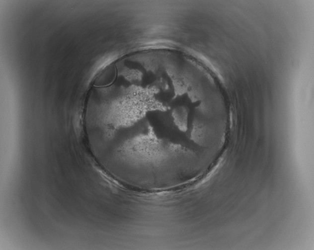 X0000112931405200908311308