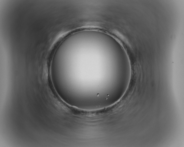 X0000112931408200908311308