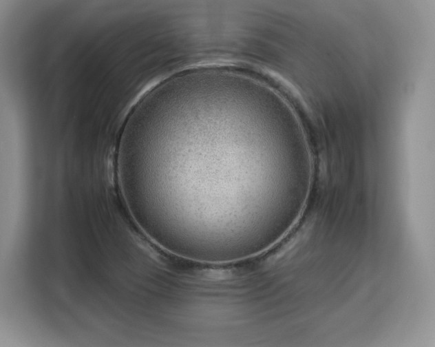 X0000112931409200908311308