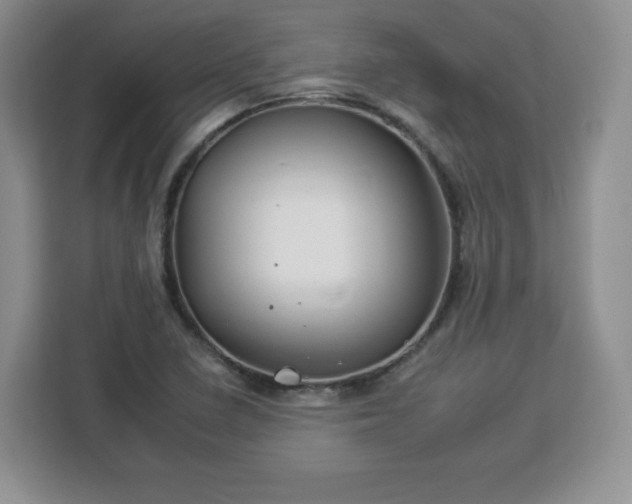 X0000112931410200908311308