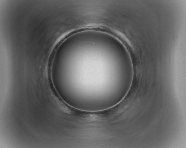 X0000112931412200908311308