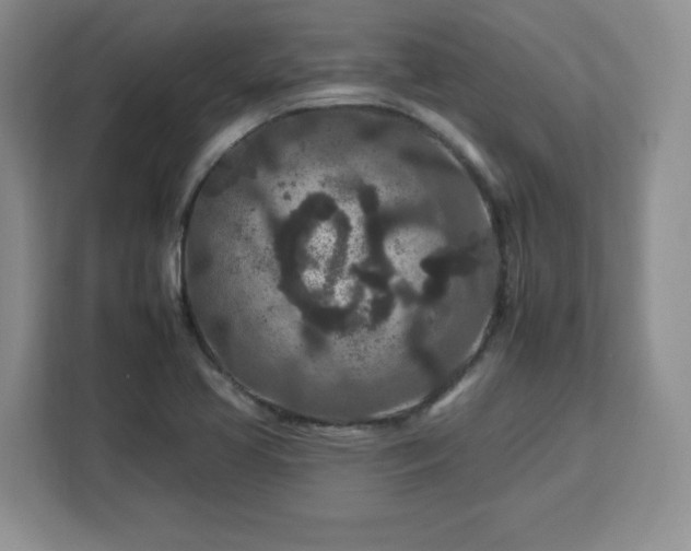 X0000112931413200908311308