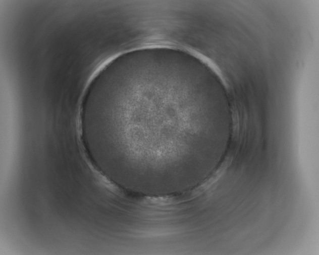 X0000112931415200908311308