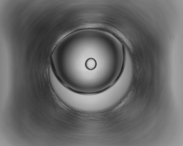 X0000112931417200908311308