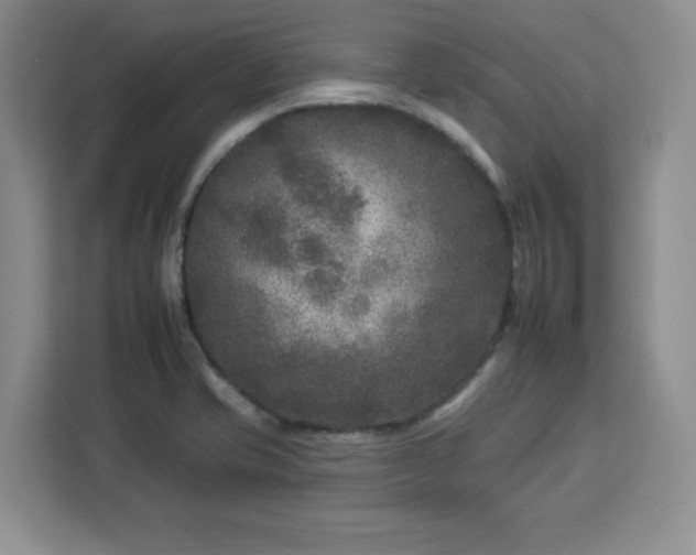 X0000112931421200908311308