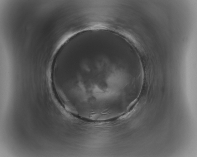 X0000112931422200908311308