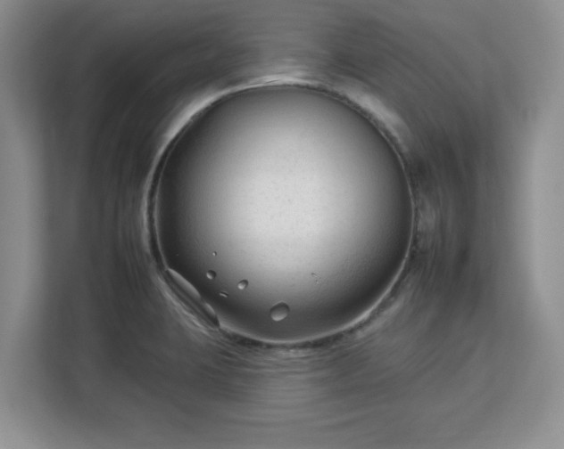 X0000112931423200908311308