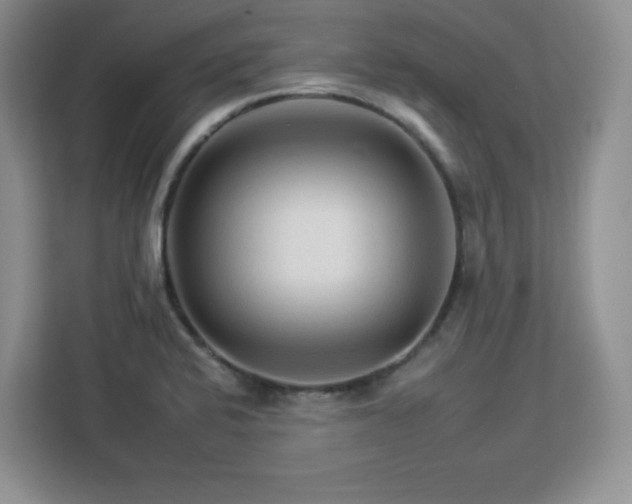 X0000112931424200908311308