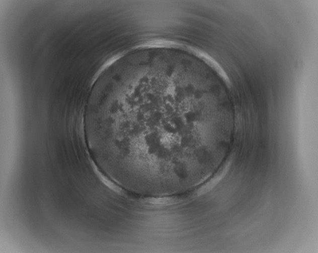 X0000112931425200908311308