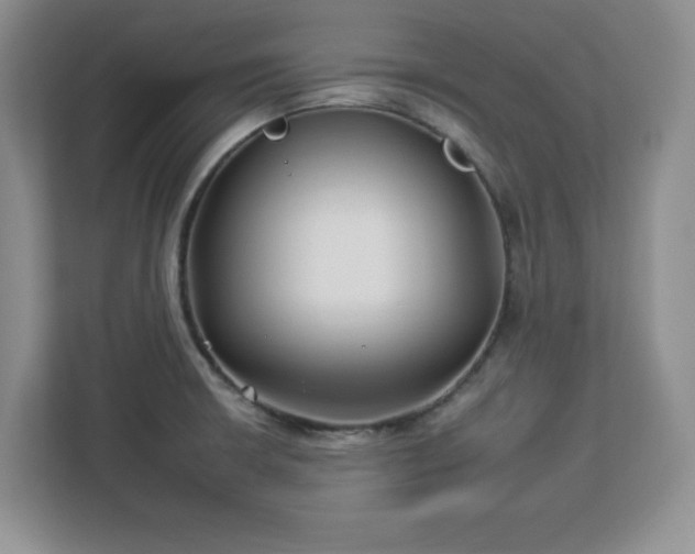 X0000112931426200908311308