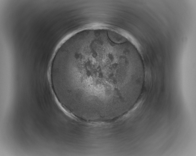 X0000112931429200908311308