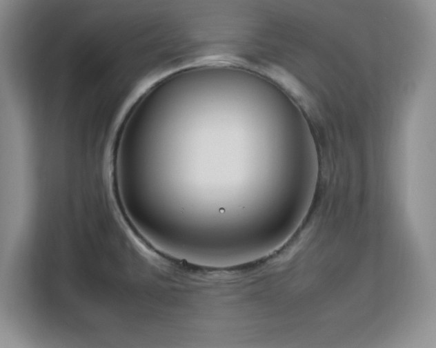 X0000112931430200908311308