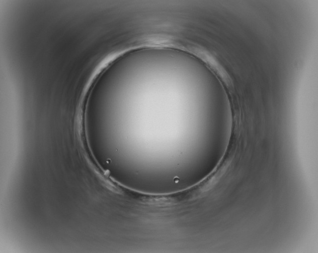 X0000112931432200908311308