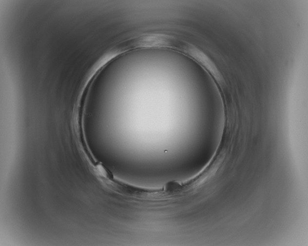 X0000112931434200908311308