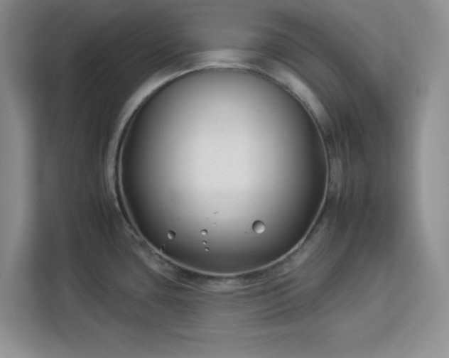 X0000112931435200908311308