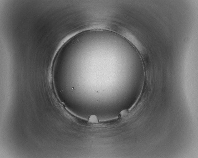 X0000112931436200908311308