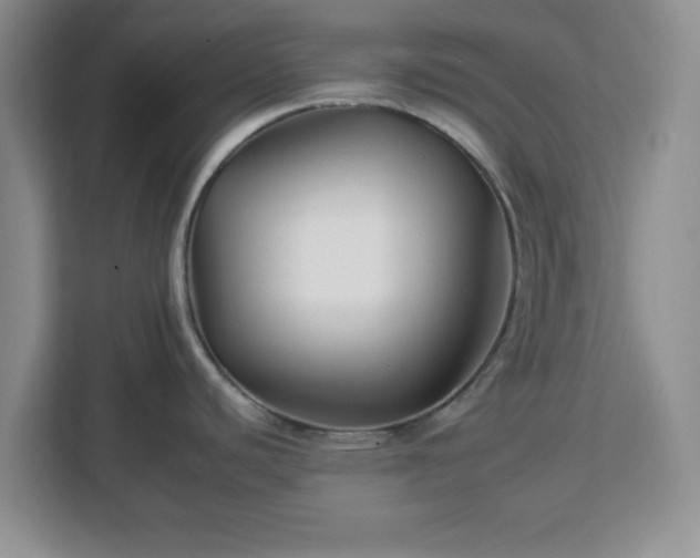 X0000112931440200908311308