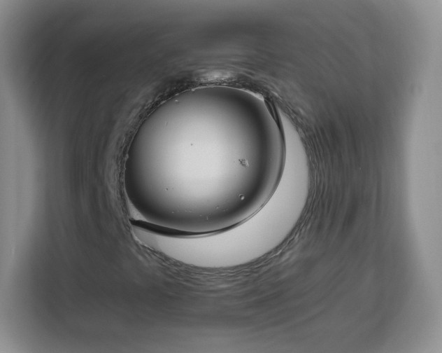 X0000112931441200908311308