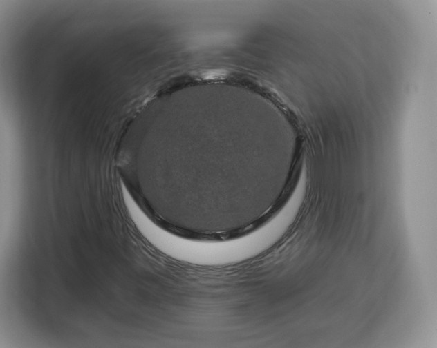 X0000112931443200908311308