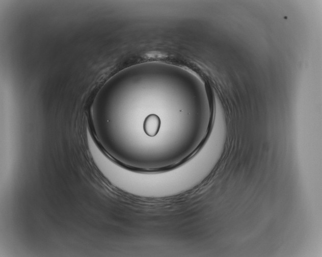 X0000112931444200908311308